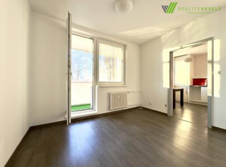 IMG_9667 | Pronájem bytu, 1+1, 34 m²
