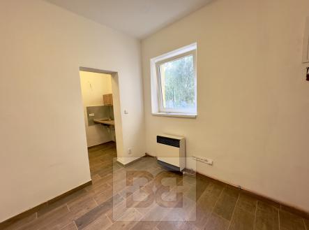 IMG_9027 | Pronájem bytu, 1+kk, 27 m²