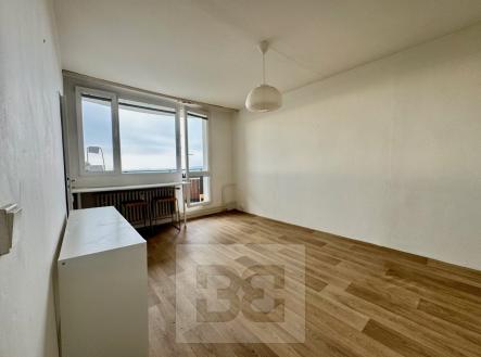 IMG_8608 | Pronájem bytu, 1+1, 30 m²