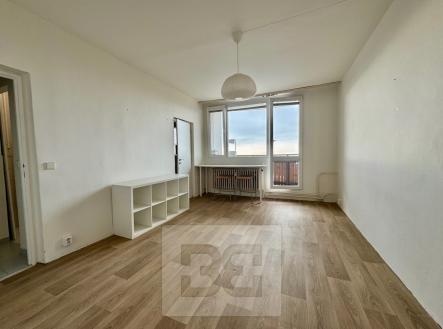 IMG_8607 | Pronájem bytu, 1+1, 30 m²