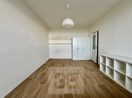 IMG_8609 | Pronájem bytu, 1+1, 30 m²