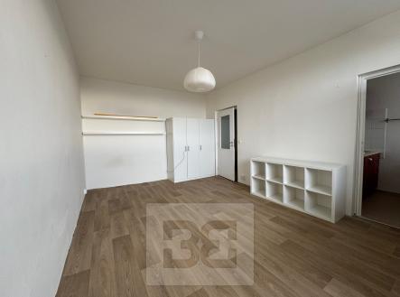 IMG_8610 | Pronájem bytu, 1+1, 30 m²