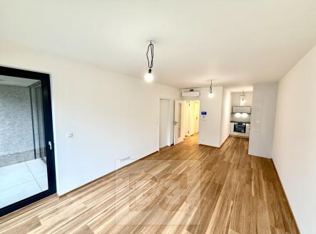 IMG_1269 | Pronájem bytu, 2+kk, 66 m²