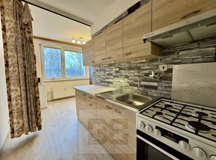 IMG_2359 | Pronájem bytu, 2+1, 54 m²