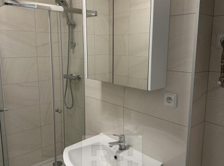 E5AED6BA-09CB-445E-9F26-B6E36EB35889 | Pronájem bytu, 1+1, 28 m²