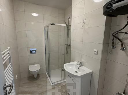 6E874195-3986-4993-8C32-5A607BBF5011 | Pronájem bytu, 1+1, 28 m²