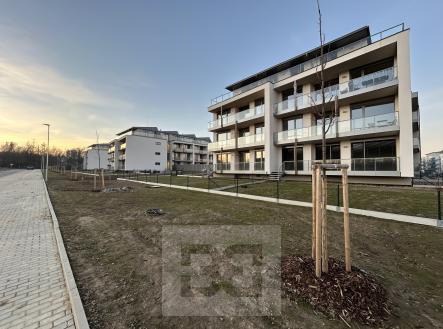 dům (2) | Pronájem bytu, 2+kk, 67 m²