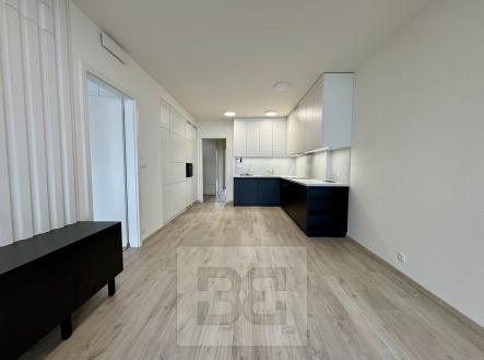 IMG_8723 | Pronájem bytu, 3+kk, 80 m²