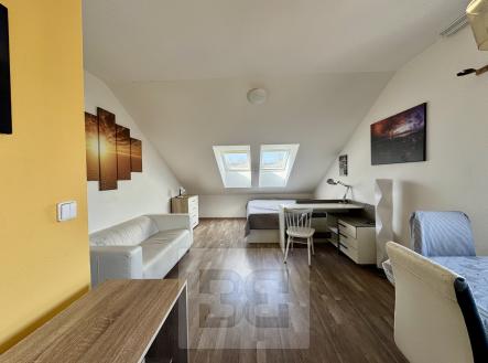 IMG_5144 | Pronájem bytu, 1+kk, 38 m²