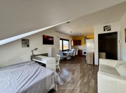 IMG_5138 | Pronájem bytu, 1+kk, 38 m²