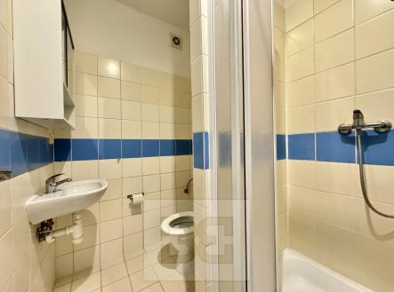 IMG_8271 | Pronájem bytu, 1+kk, 22 m²