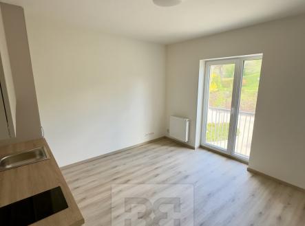 IMG_7291 | Pronájem bytu, 1+kk, 22 m²