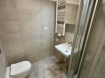 IMG_7292 | Pronájem bytu, 1+kk, 22 m²
