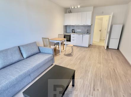 IMG_7381 | Pronájem bytu, 1+kk, 41 m²