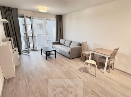 IMG_7380 | Pronájem bytu, 1+kk, 41 m²