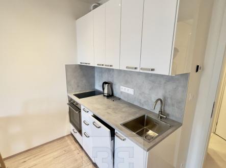 IMG_7378 | Pronájem bytu, 1+kk, 41 m²