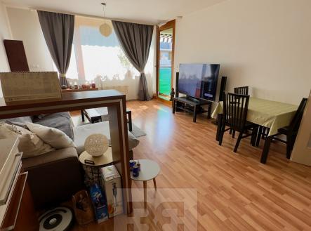 IMG_0802 | Pronájem bytu, 2+kk, 59 m²