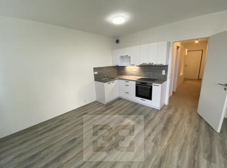 IMG_1963 | Pronájem bytu, 1+kk, 41 m²