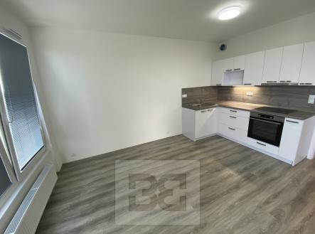 IMG_1962 | Pronájem bytu, 1+kk, 41 m²