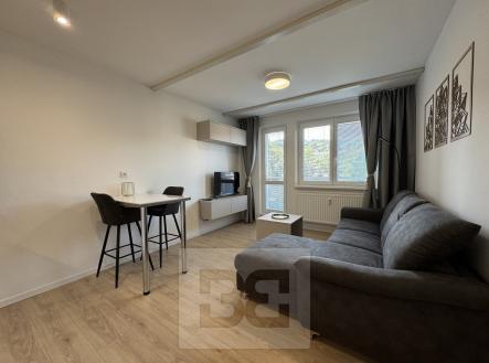 IMG_6799 2 | Pronájem bytu, 1+kk, 30 m²