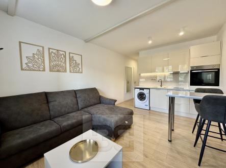 IMG_6802 2 | Pronájem bytu, 1+kk, 30 m²