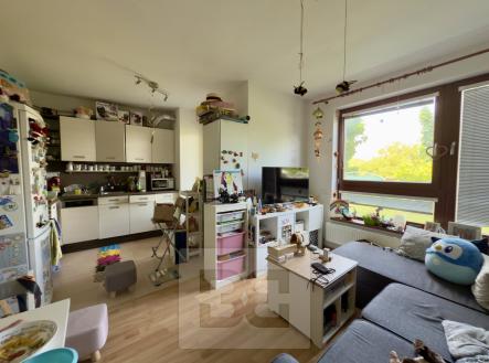 IMG_5927 | Pronájem bytu, 2+kk, 40 m²