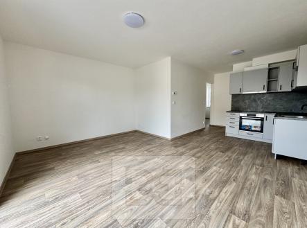 IMG_7298 | Pronájem bytu, 2+kk, 50 m²