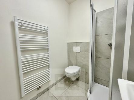 IMG_7291 | Pronájem bytu, 2+kk, 50 m²