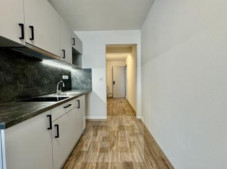 IMG_7317 | Pronájem bytu, 1+kk, 30 m²