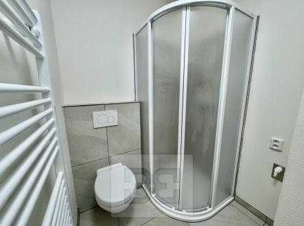 IMG_7313 | Pronájem bytu, 1+kk, 30 m²