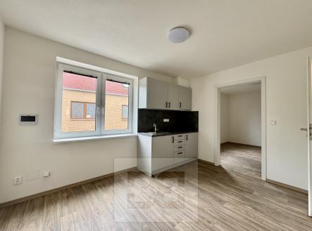 IMG_7274 | Pronájem - komerční objekt, jiný, 50 m²