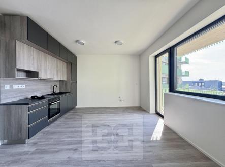 IMG_7365 | Pronájem bytu, 1+kk, 35 m²
