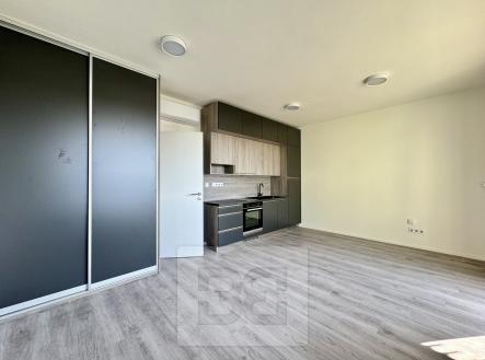IMG_7366 | Pronájem bytu, 1+kk, 35 m²