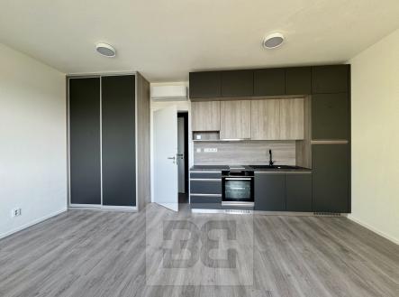 IMG_7367 | Pronájem bytu, 1+kk, 35 m²