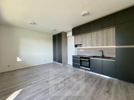 Pronájem bytu, 1+kk, 35 m² obrázek