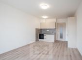Pronájem bytu, 1+kk, 33 m²