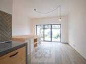 Pronájem bytu, 1+kk, 53 m²