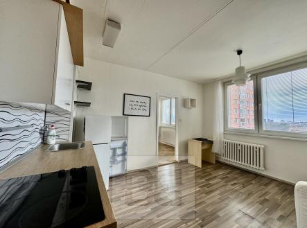 IMG_0481 | Pronájem bytu, 1+1, 35 m²