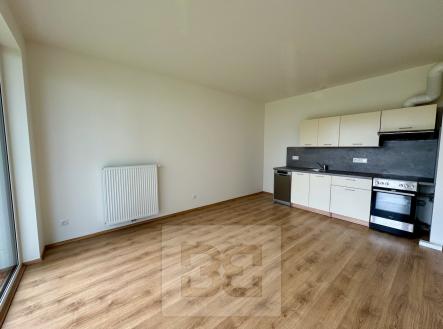 IMG_9512 | Pronájem bytu, 2+kk, 43 m²