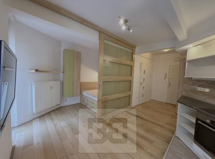 IMG_2686 | Pronájem bytu, 1+kk, 28 m²