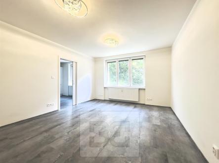 IMG_3742.jpg | Pronájem bytu, 1+1, 39 m²