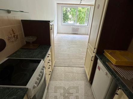 66df8b18-3766-4b72-a0a3-b51427aa042b | Pronájem bytu, 2+kk, 44 m²