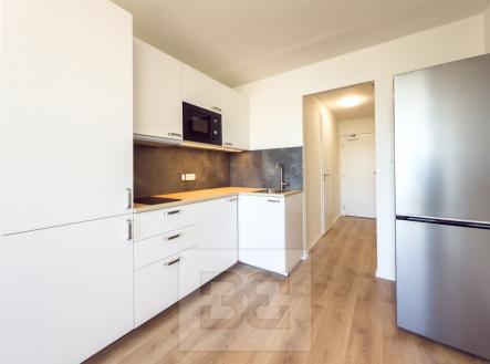 IMG_0071 | Pronájem bytu, 1+kk, 22 m²