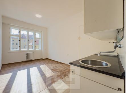 Pronájem bytu, 1+1, 48 m² obrázek