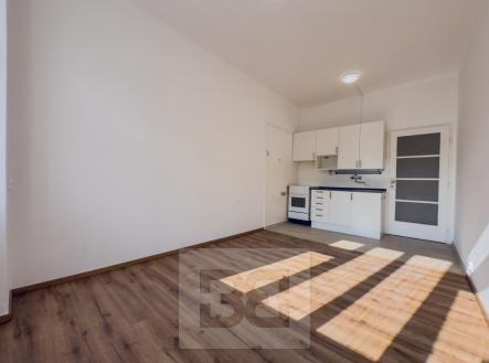 IMG_1097 | Pronájem bytu, 1+1, 48 m²