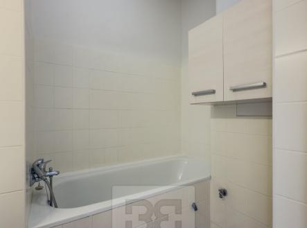 IMG_1098 | Pronájem bytu, 1+1, 48 m²