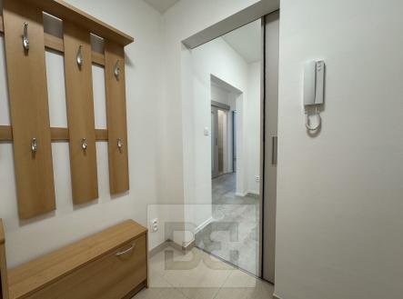 IMG_0160 | Pronájem bytu, 2+1, 45 m²