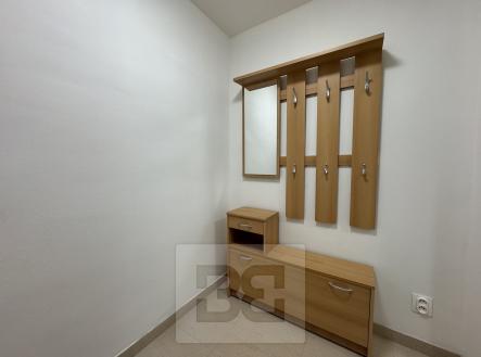 IMG_0161 | Pronájem bytu, 2+1, 45 m²
