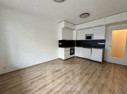 IMG_0431 | Pronájem bytu, 1+kk, 35 m²