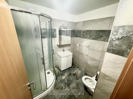 IMG_0135 | Pronájem bytu, 2+kk, 49 m²